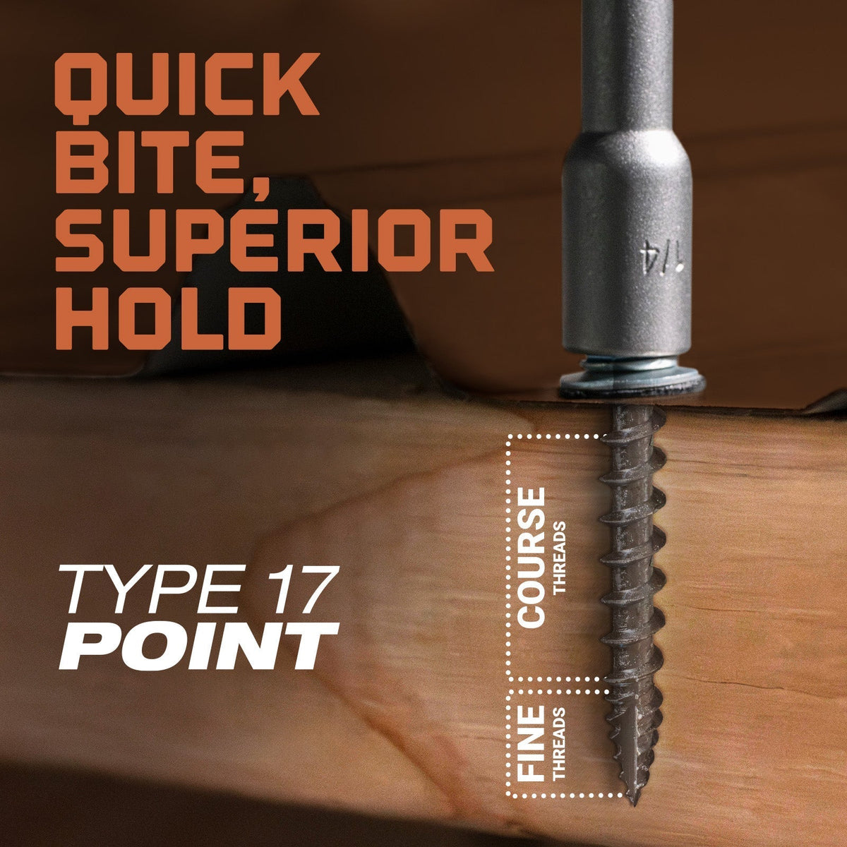Type 17 Point - Quick bite, superior hold
